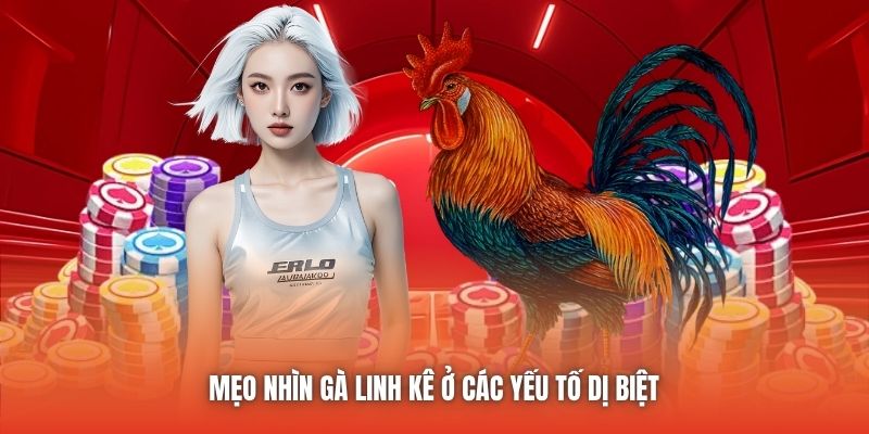 Mẹo nhìn gà linh kê ở các yếu tố dị biệt 